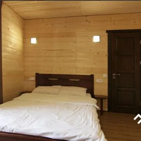 гірка * スコレ